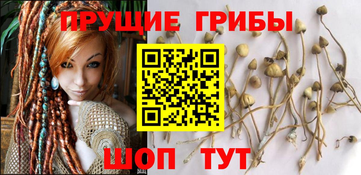 Галлюциногенные грибы мицелий  Вход с VPN  Коркино 